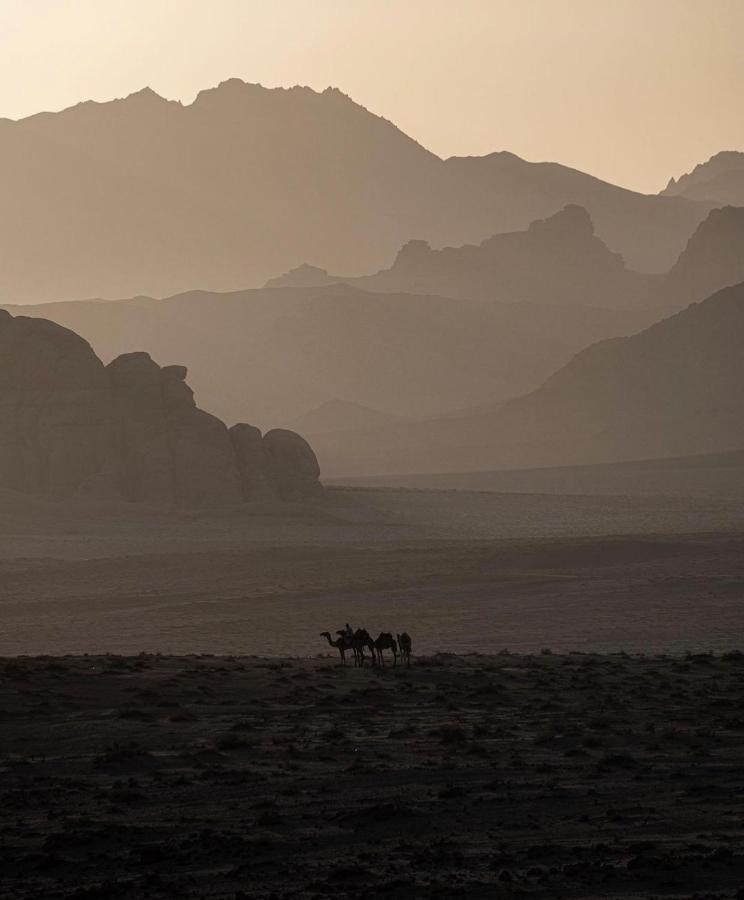 Wadirum Zeid Camp&Tours Wadi Rum Eksteriør bilde