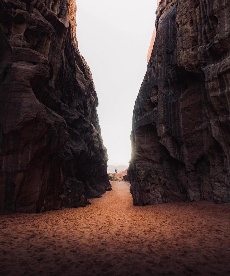 Wadirum Zeid Camp&Tours Wadi Rum Eksteriør bilde