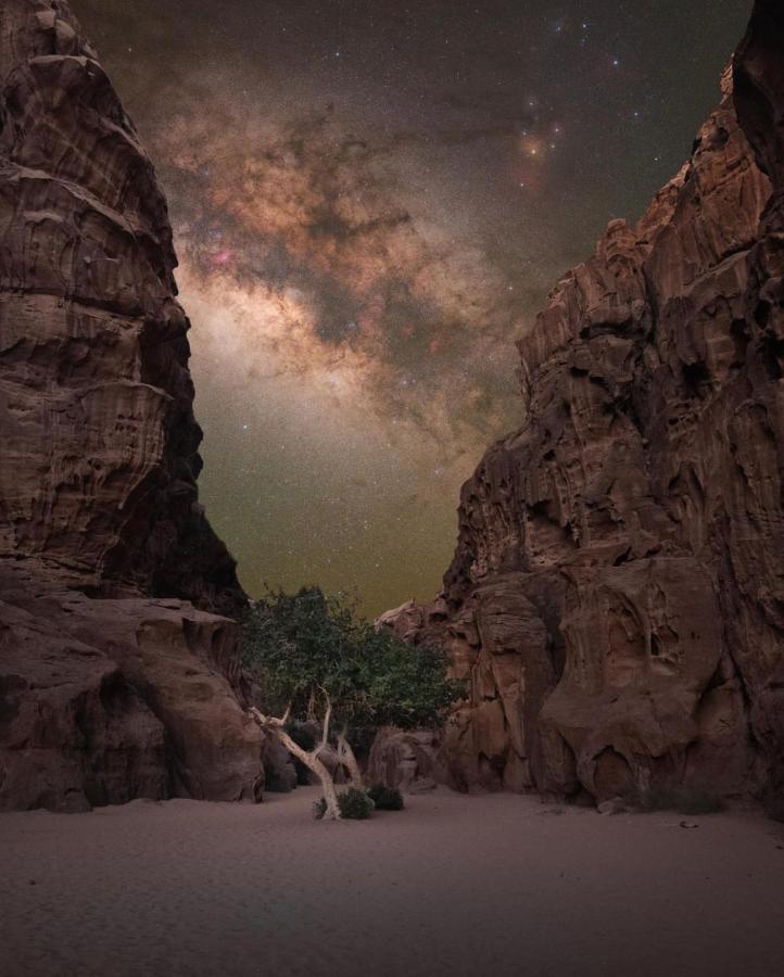 Wadirum Zeid Camp&Tours Wadi Rum Eksteriør bilde