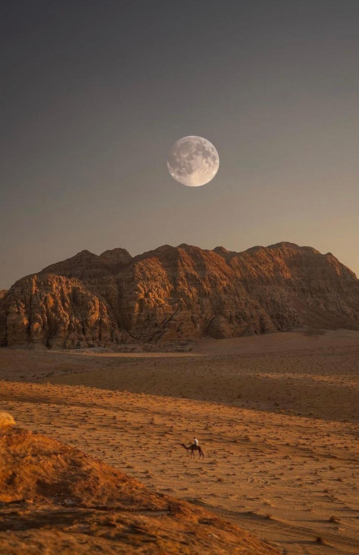 Wadirum Zeid Camp&Tours Wadi Rum Eksteriør bilde