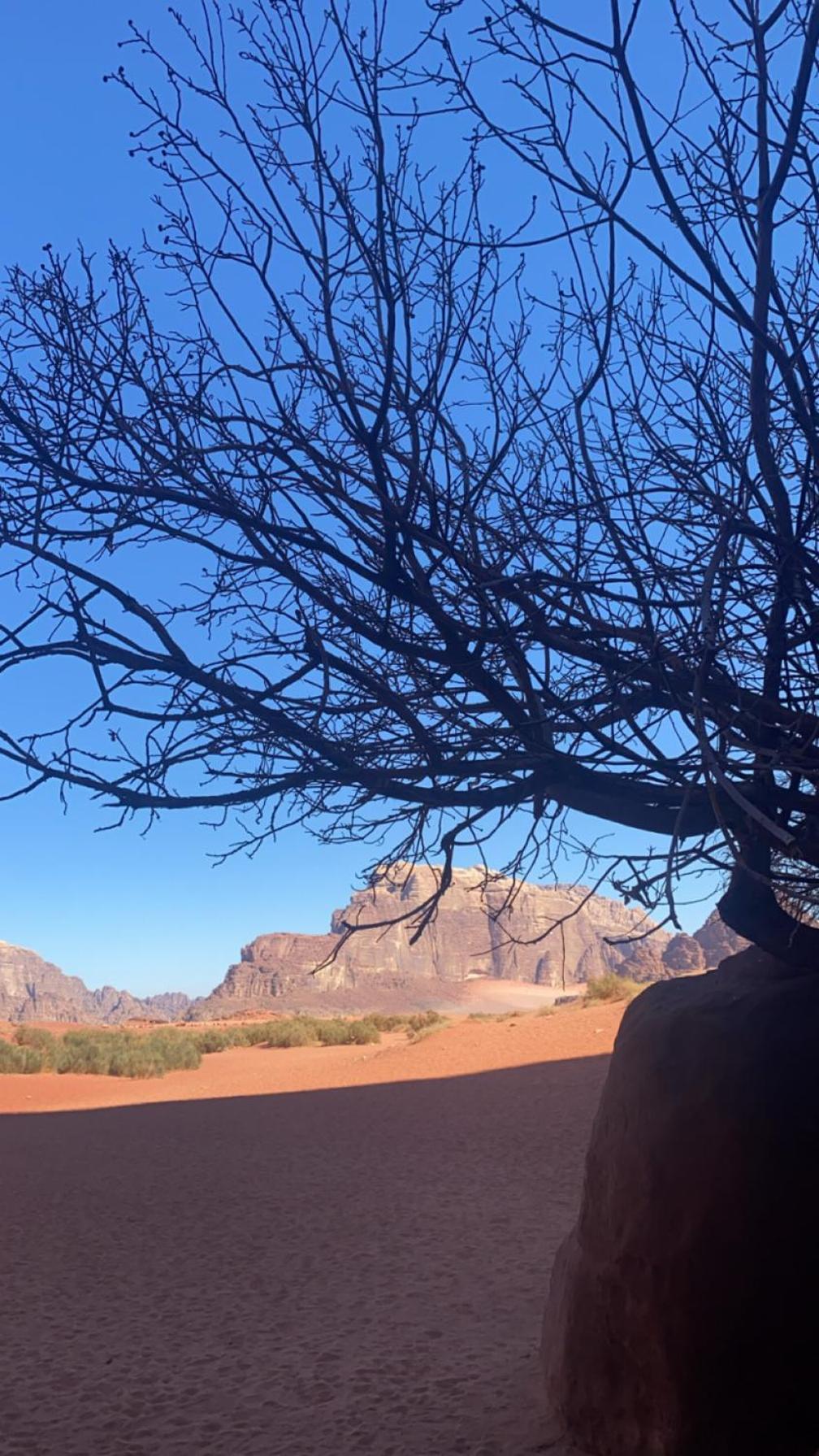 Wadirum Zeid Camp&Tours Wadi Rum Eksteriør bilde